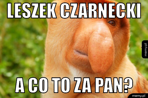 Leszek Czarnecki A CO TO ZA PAN?
